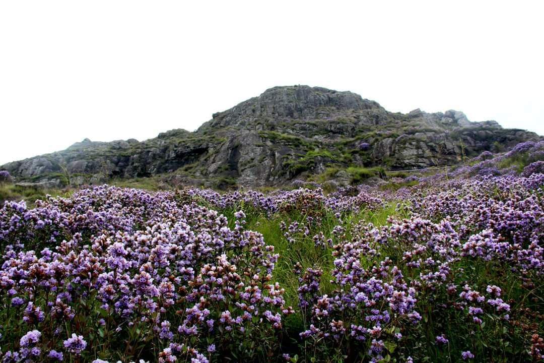 2020102523541827.jpg