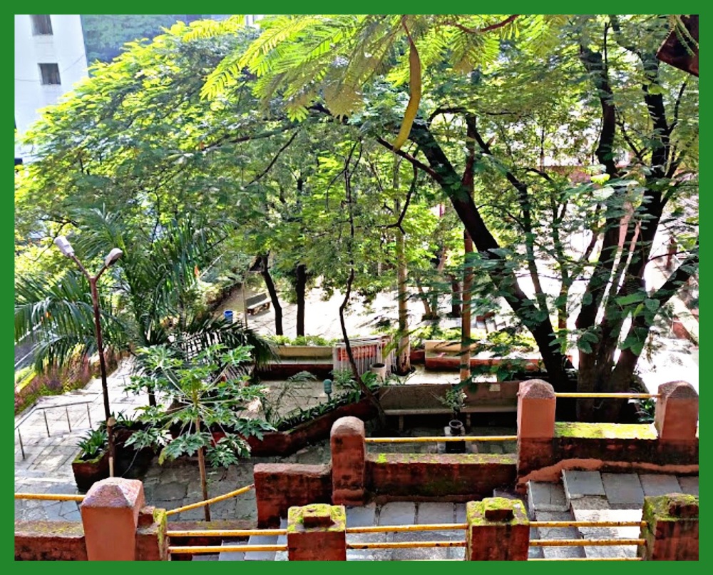 சதுர்ஷ்ரிங்கி தேவி கோயில்