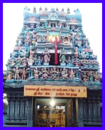 Chennai Parimuna Kalikambal that gives rise in life