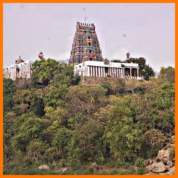 Viralimalai Murugan Temple which is to grow dynasty!!