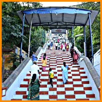 Viralimalai Murugan Temple which is to grow dynasty!!